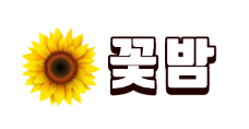 꽃밤 꽃밤